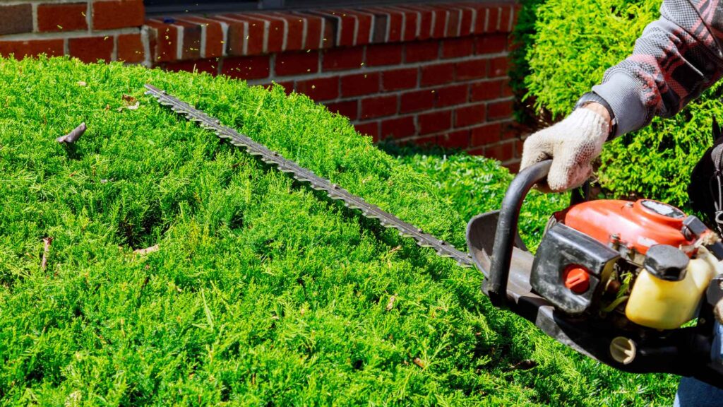 Brush & Hedge Trimming