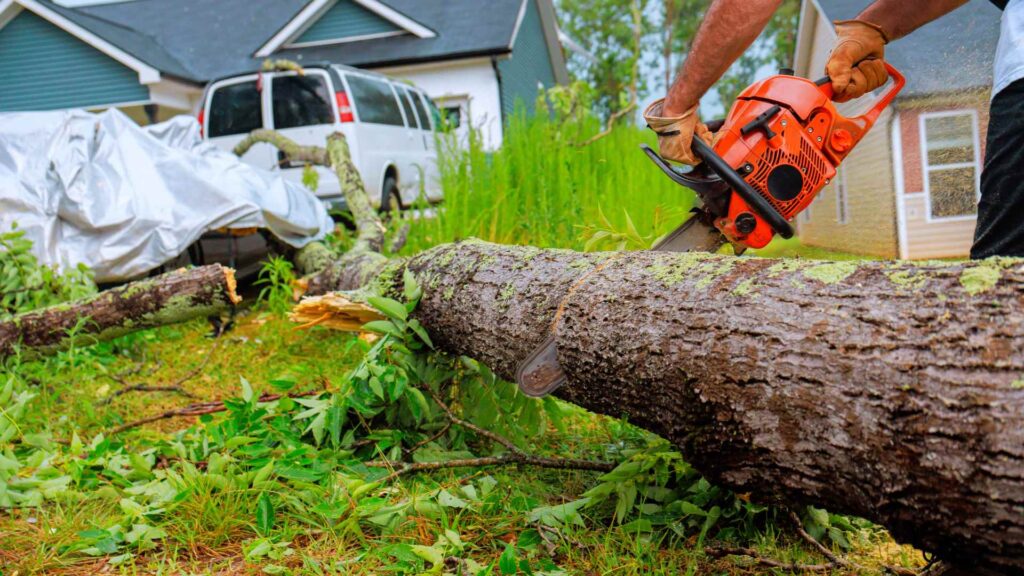 Landscape Removal