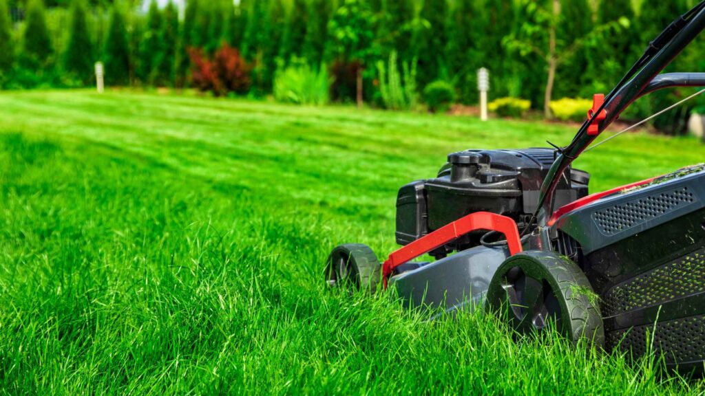 Lawn Care & Maintenance