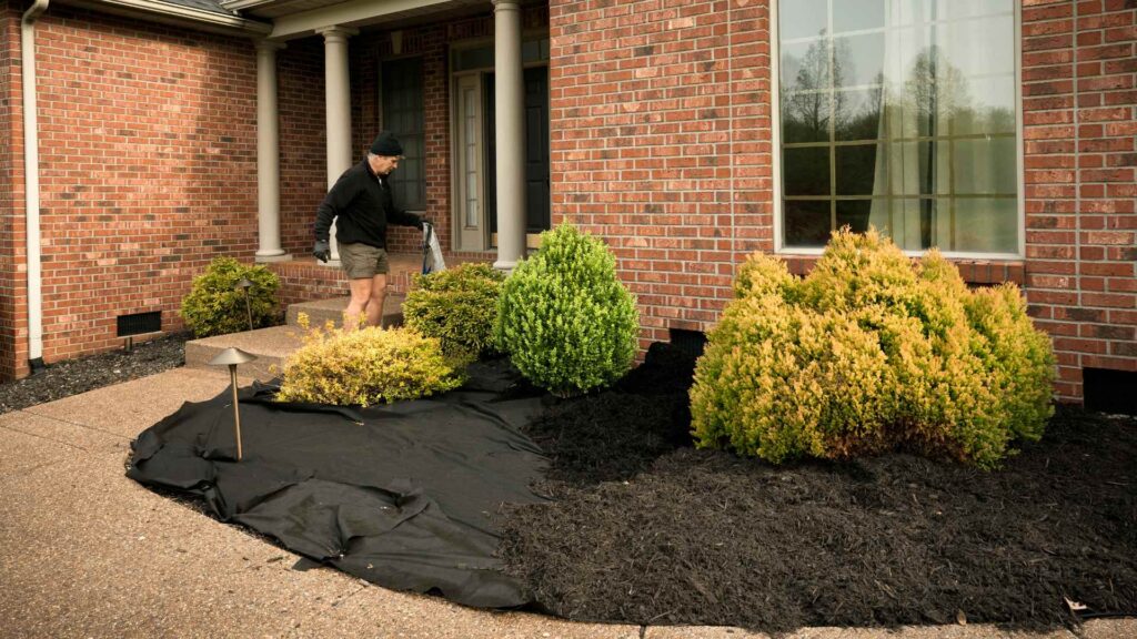 Mulch Installation
