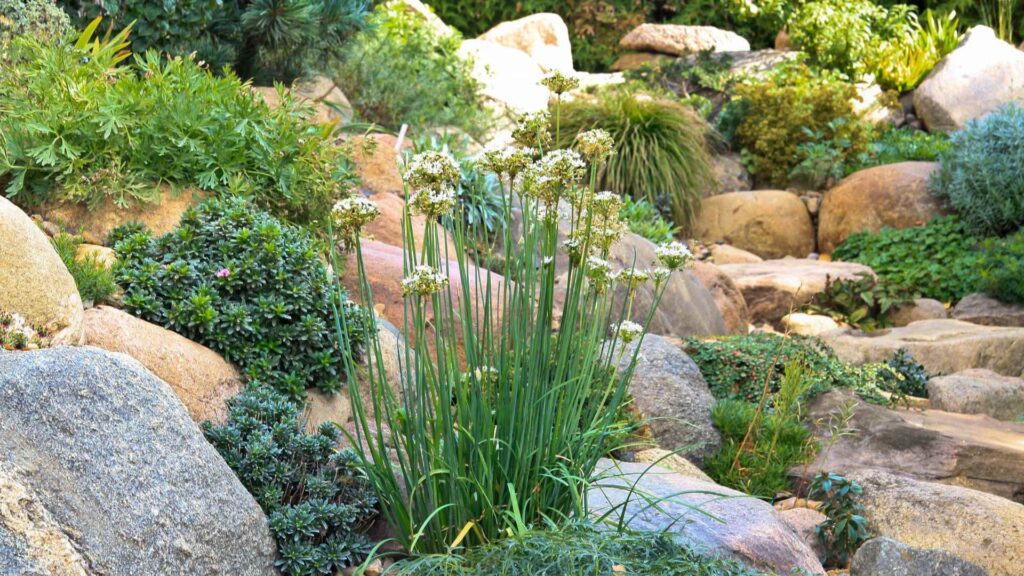 Stone Placement